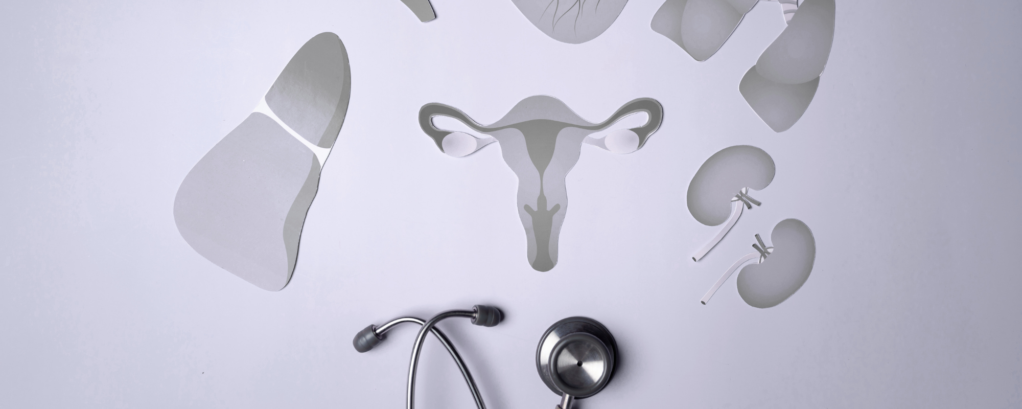 Innere weibliche Organe mit einem Stetoskop