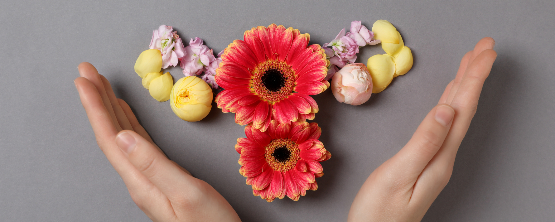 Weiblicher Unterleib aus Blumen präsentiert von zwei weiblichen Händen