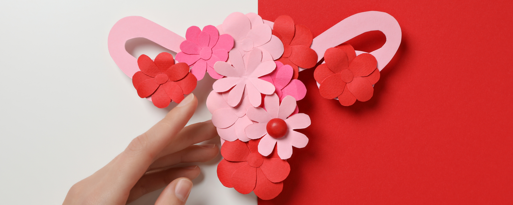 Intimbereich der Frau nachgestellt mit Blumen und einer weiblichen Hand