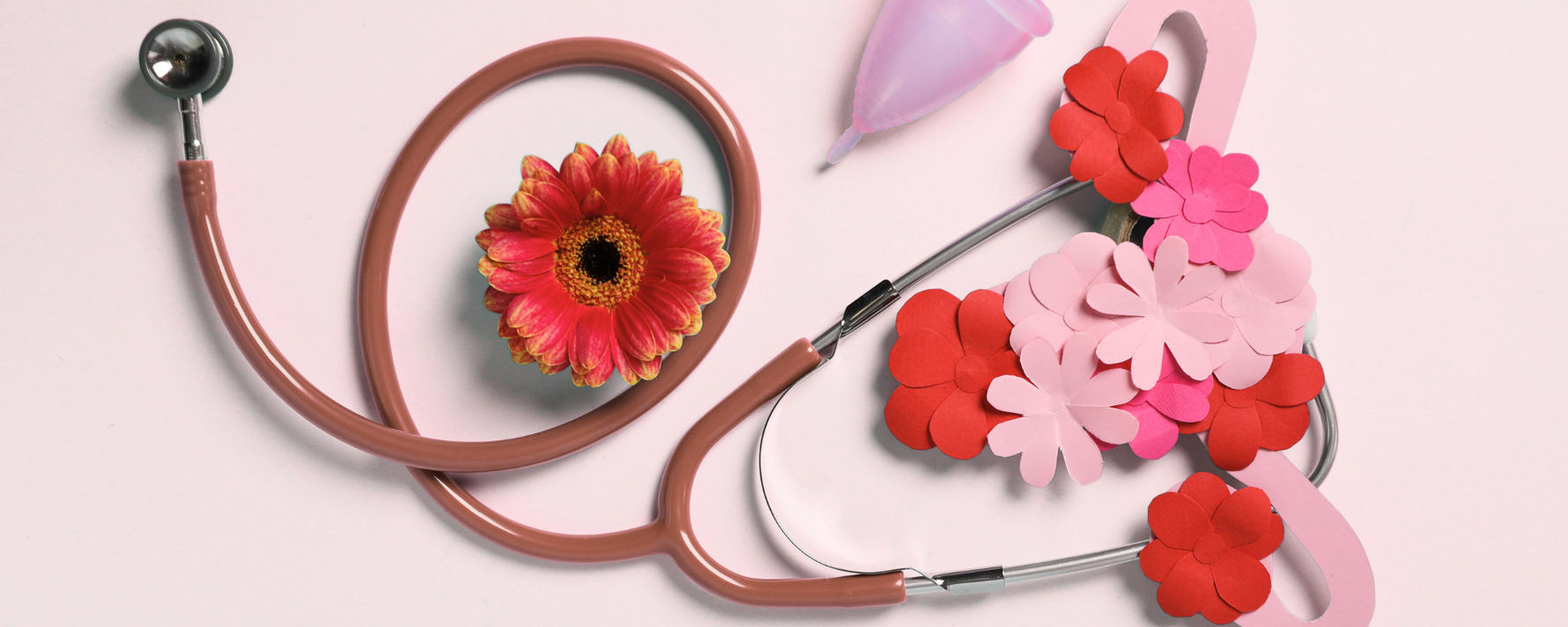 Frauengesundheit und die Forschung 