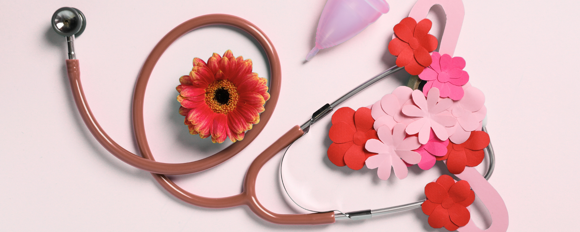 Frauengesundheit und die Forschung 