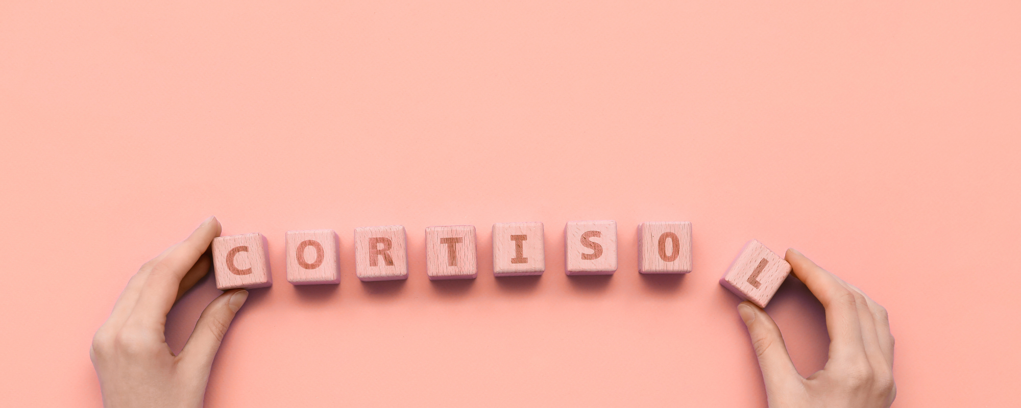 Kortisol Schriftzug mit Bausteinen von Händen gelegt.
