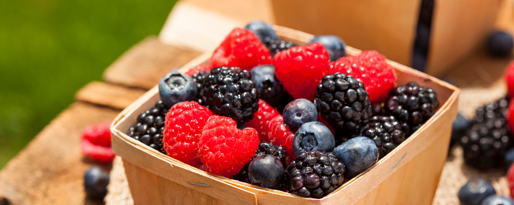 Eine Schale mit Beeren zum Thema OPC, welches in Beeren vorkommt.