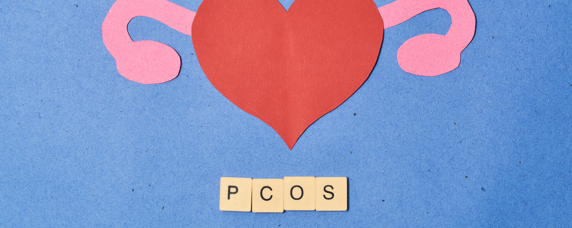 Herz als Gebärmutter dargestellt und Eierstöcke, darunter steht PCOS