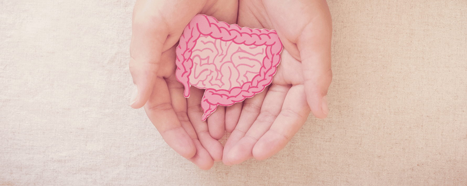 Probiotika: Abbildung eines Darms in den Händen einer Frau