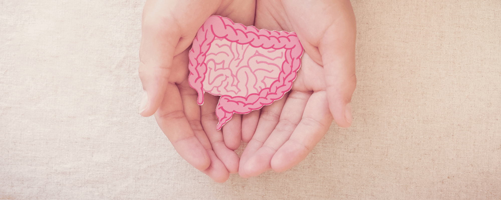 Probiotika: Abbildung eines Darms in den Händen einer Frau