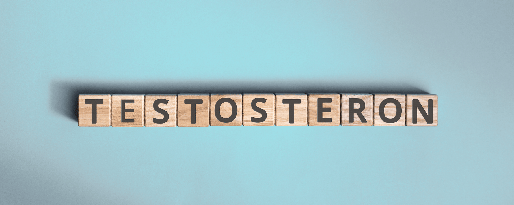 Das Wort Testosteron mit Holzwürfeln gelegt auf hellblauem Hintergrund