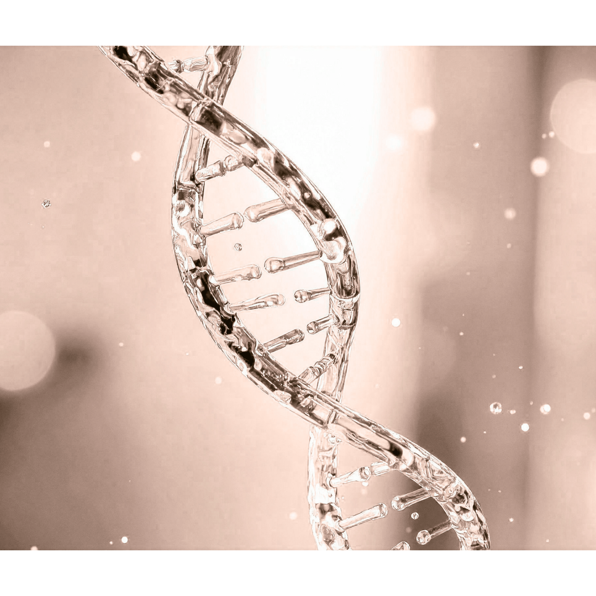 Coenzyme & bioaktive Substanzen für Frauen - H3R LAB