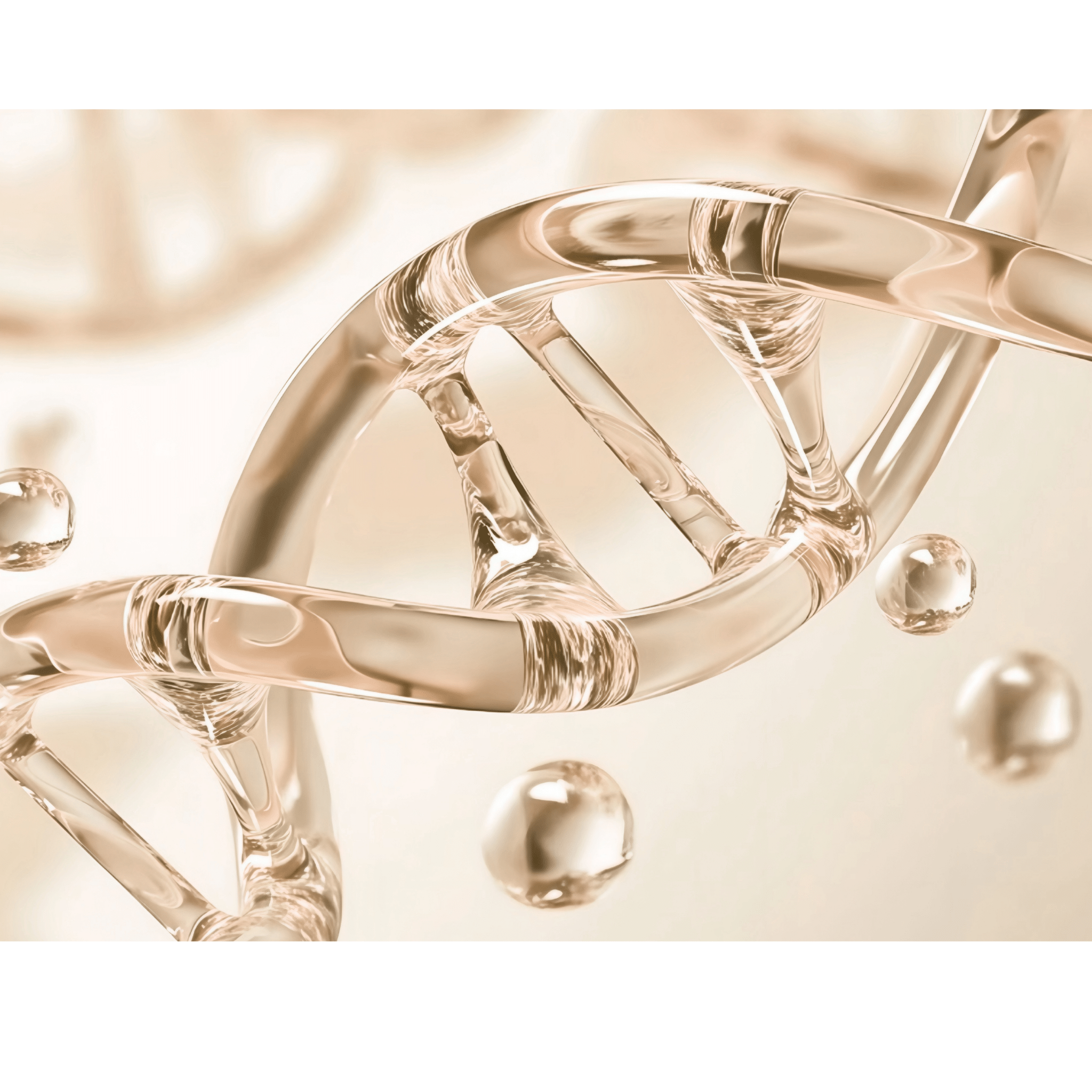 Probiotika für die weibliche Gesundheit - H3R LAB
