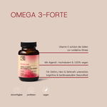 H3R LAB Darm Balance Glow Menopause Bundle mit Nahrungsergänzungsmitteln für hormonelles Wohlbefinden